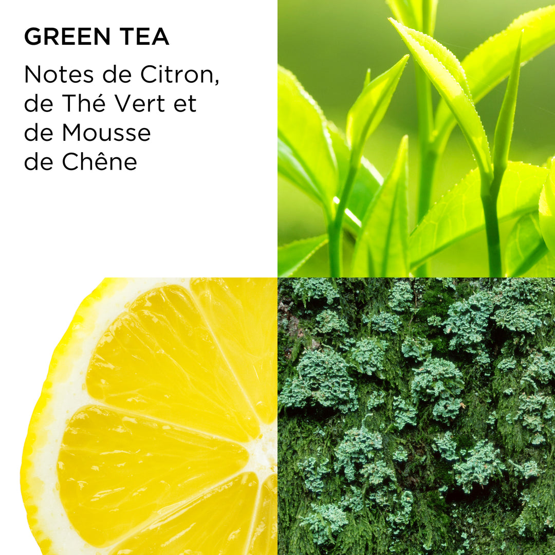 Coffret Duo Green Tea Eau Parfumée et Crème pour le Corps